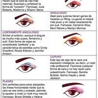 tipos de CEJAS