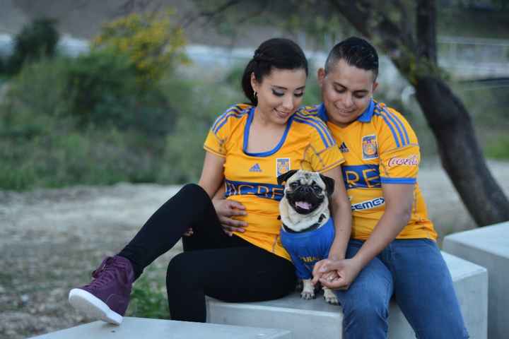 miren esta definitamente, el es mejor modelo