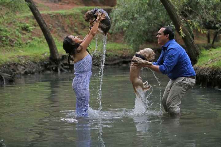 FAMILIA PERRITO