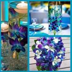 Indecisa en el color - 3