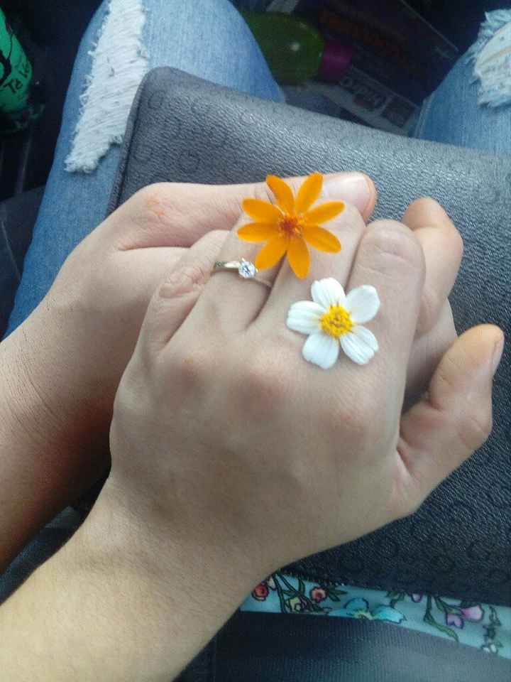 Mi sorpresa romántica Gabriela y Enrique - 2