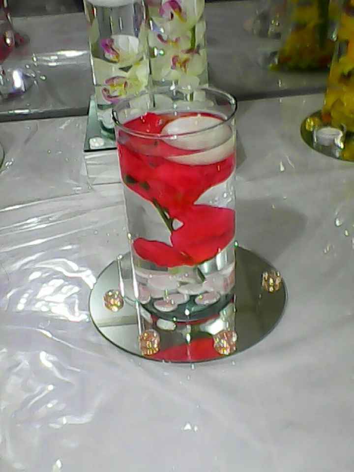 Cual eligen ayuda - 3