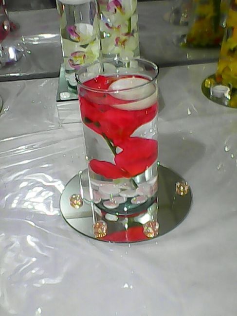 Cual eligen ayuda - 3