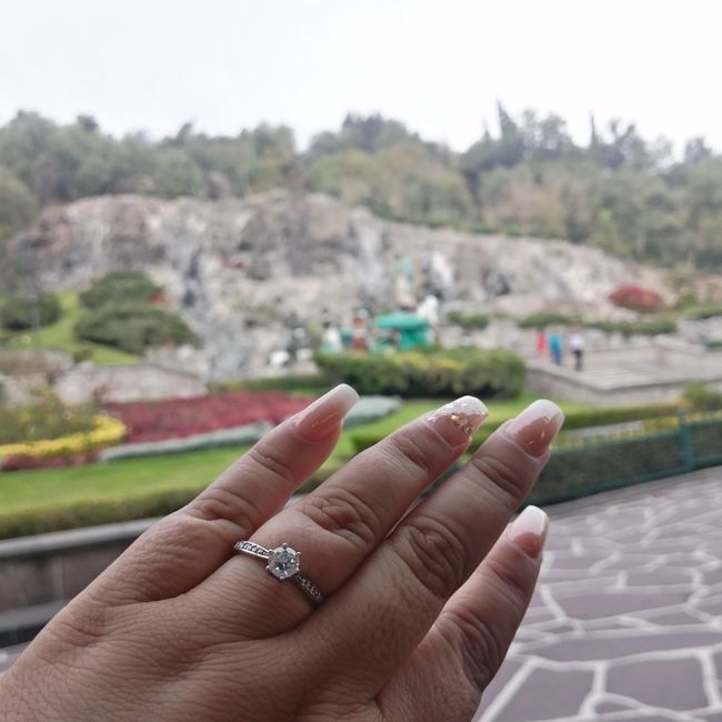 Mi anillo de compromiso, Dania - 1