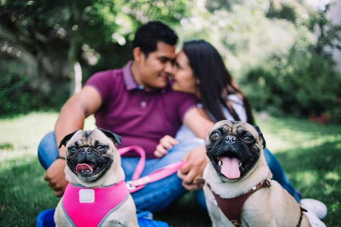  Perrihijos 😍🐶 - 1