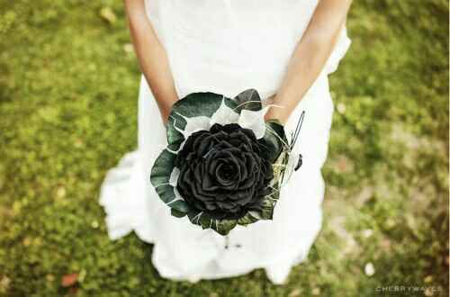  Dark side: Ramo - 15