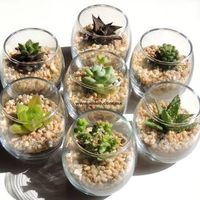 Que dar de recuerdos en la boda?? ayuda - 1