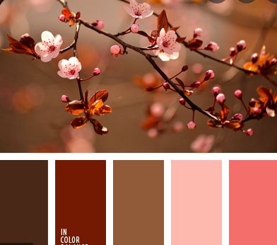 Que color elegir en otoño? 1