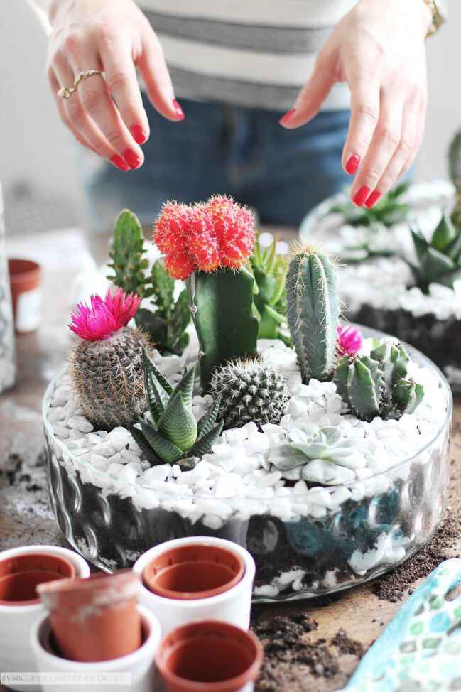 Centros de mesa de cactus. - 3