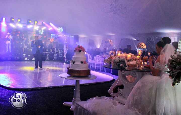 Color de la boda y damas - 2