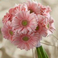  El ramo perfecto - 2