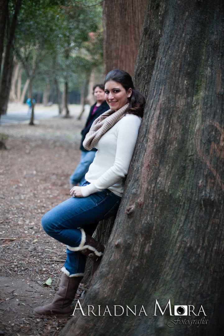 sesion previa
