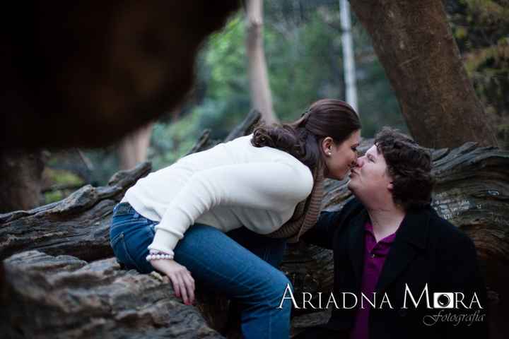 sesion previa