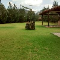 El jardín para nuestra recepción... - 2