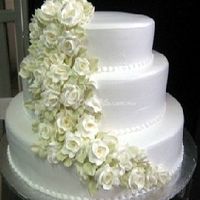 QUE TAL ESTE PASTEL?