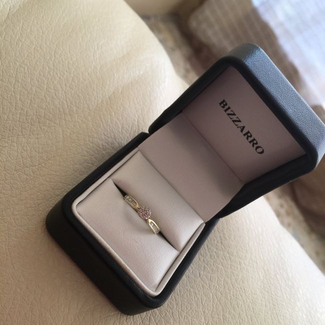 Mi propuesta de matrimonio les comparto! - 2