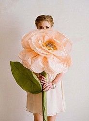 Ideas para decorar con flores gigantes?? - 2