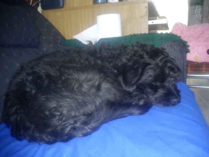 Mi Spaick
