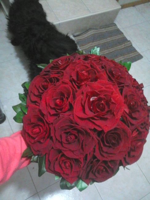 rojo hermoso