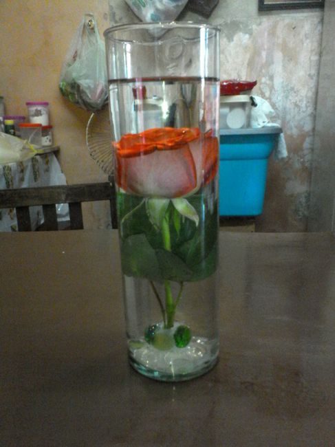 Mis avances a 47 días - 8