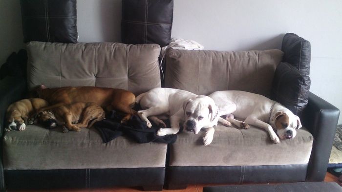 mis hijos
