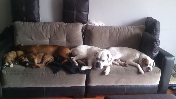 bebés