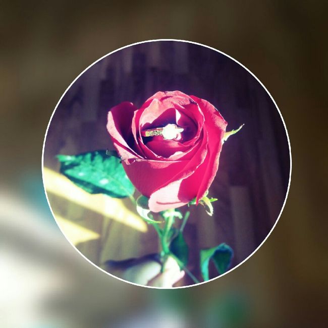  y al otro día la pedida - 4