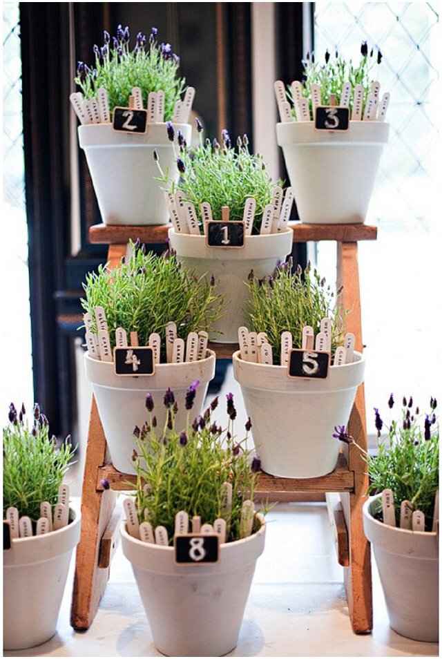 Tablero de invitados ¿sí o no? - 2