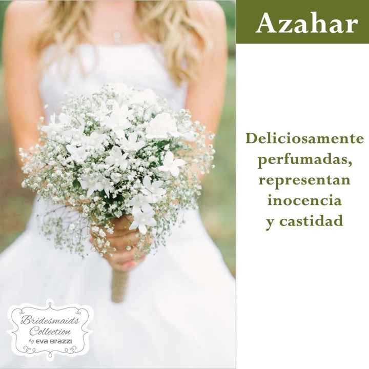 Que significan las flores q usamos en la boda.💐🌷🌹🌸🌺🌼 - 2