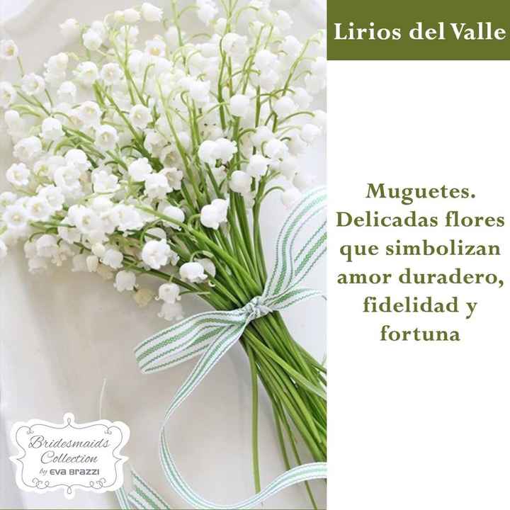 Que significan las flores q usamos en la boda.💐🌷🌹🌸🌺🌼 - 6