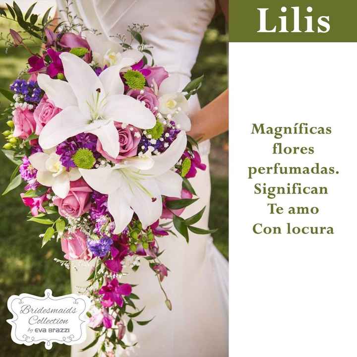 Que significan las flores q usamos en la boda.💐🌷🌹🌸🌺🌼 - 7