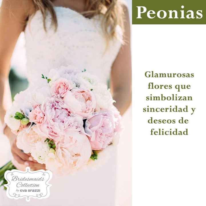 Que significan las flores q usamos en la boda.💐🌷🌹🌸🌺🌼 - 8