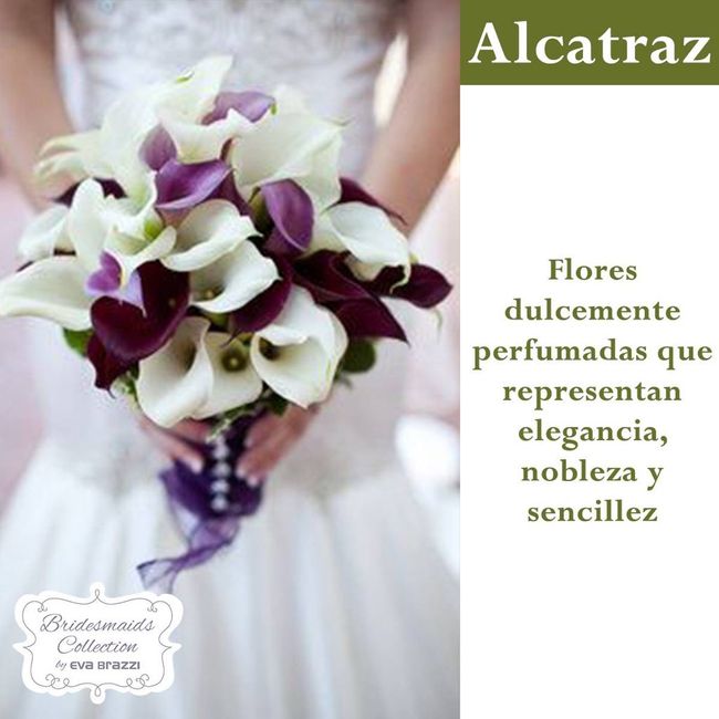 Que significan las flores q usamos en la boda.💐🌷🌹🌸🌺🌼 - 5