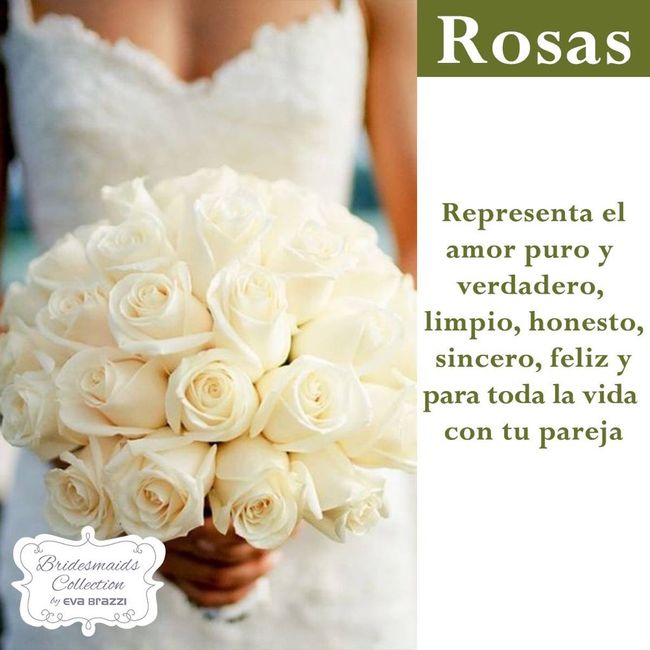 Que significan las flores q usamos en la boda.💐🌷🌹🌸🌺🌼 - 9