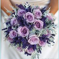 Estos son los colores