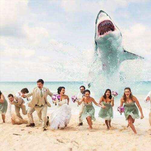 Boda en la playa!!! - 1