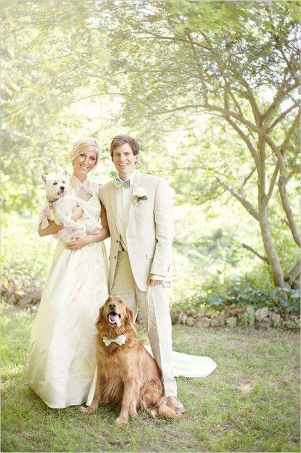 Los reyes de la casa!! - 7