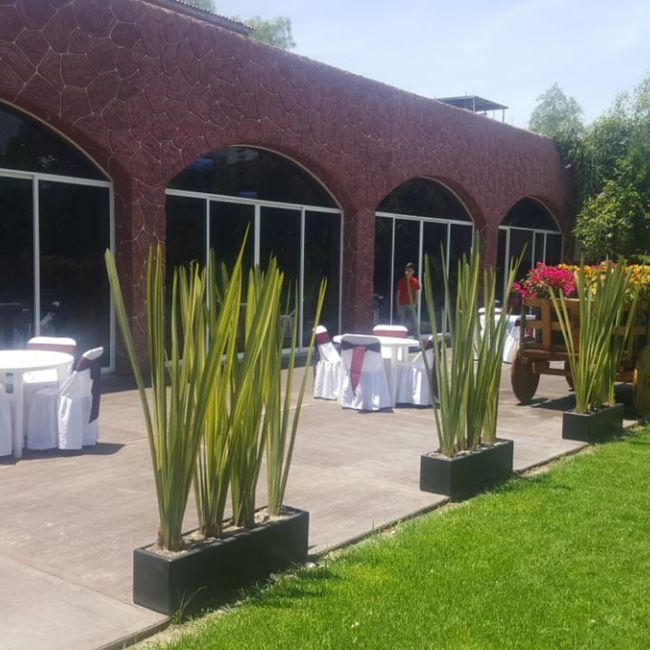 Sesión de Derechos - 3