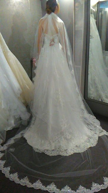 El velo perfecto - 1