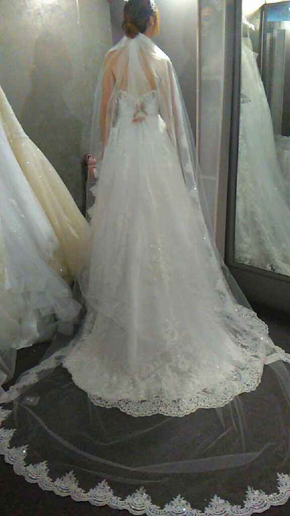 El velo perfecto - 1