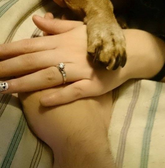 Los dueños de mi corazon 