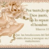 AMOR TE AMO