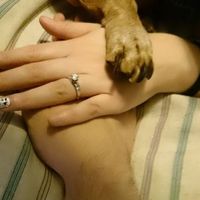 Los dueños de mi corazon 