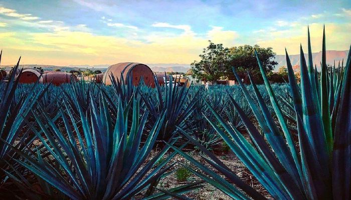 Donde sera la sesión de fotos??? - 2