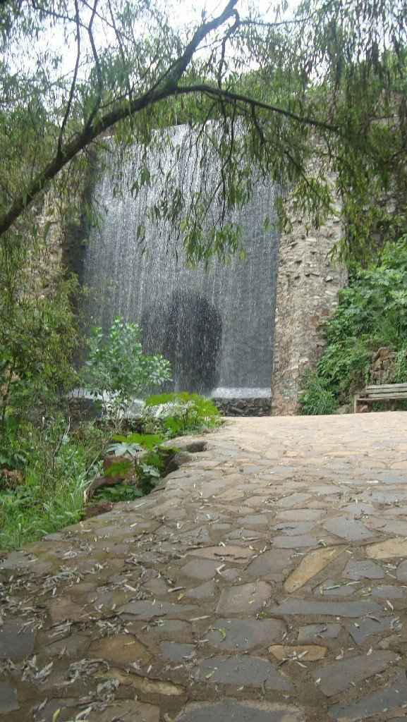 Donde sera la sesión de fotos??? - 1