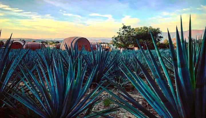 Donde sera la sesión de fotos??? - 2