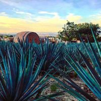 Donde sera la sesión de fotos??? - 2