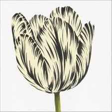 Mi flor favorita