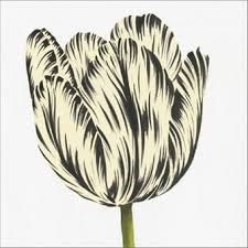 Mi flor favorita
