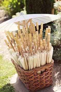 Novios que nos casamos el 25 de Mayo de 2017 en Jalisco - 1